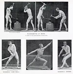 Muybridge: Muybridge - Blacksmith