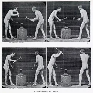 Muybridge: Muybridge - Blacksmiths