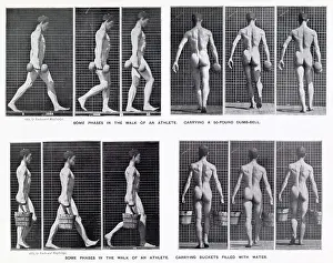 Dumb: Muybridge - Carrying