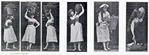 Muybridge: Muybridge - Carrying