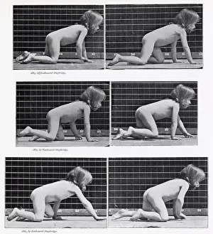 Crawling: Muybridge - Child