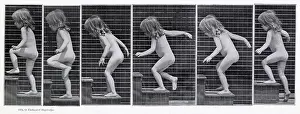 Muybridge: Muybridge - Child Steps