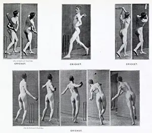 Muybridge: Muybridge - Cricket