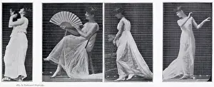 Muybridge: MUYBRIDGE - WITH FAN