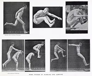 Muybridge: Muybridge - Jumping