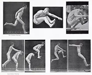 Muybridge: Muybridge - Leapfrog 2