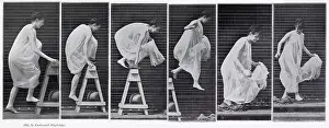 Muybridge: Muybridge -Obstacle