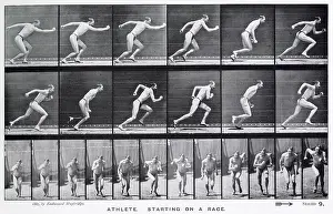 Muybridge - Running