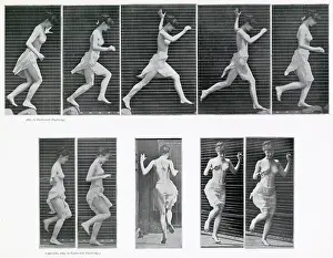 Muybridge: Muybridge - Running
