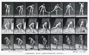 Muybridge: Muybridge - Shovel
