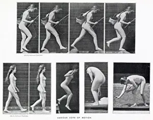 Muybridge: Muybridge - Stepping Stone