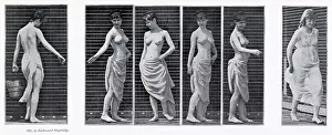 Muybridge: Muybridge - Turning