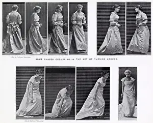 Muybridge: Muybridge - Walking