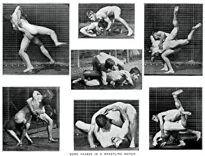 Phases: Muybridge - Wrestling