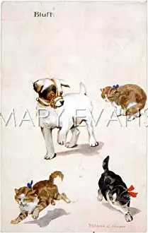 Muzzled: MUZZLE SCARES KITTENS