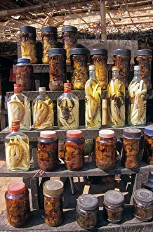 Insets: Myanmar jars of traditional herbal medicine for