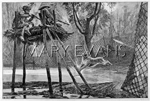 Strategically: MYSORE TIGER HUNT - 1