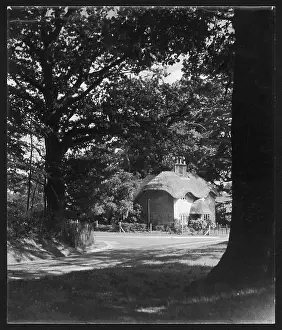 Mysterious: MYSTERIOUS COTTAGE