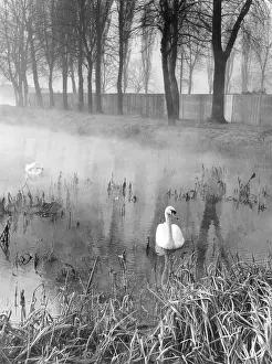 Nene: Mysterious Waters
