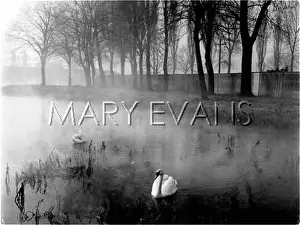 Creeps: MYSTERIOUS WATERS