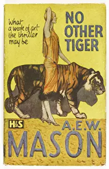 Anyone: MYSTERY - NO OTHER TIGER