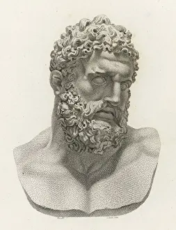 1812: MYTH/HERCULES BUST