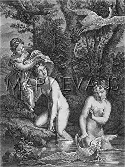 Leda: MYTH/LEDA AND THE SWAN
