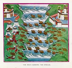 Swarm: Myth - Tibet - Country - Mice