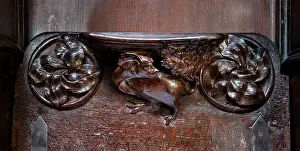 Misericord: Mythical beast DP