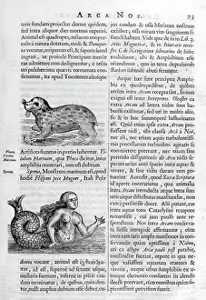 Itself: Mythical beasts, from Arca Noe, (building the