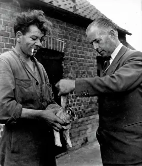 Corte: Myxomatosis Vaccine