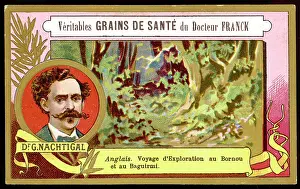 Bornu: Nachtigal (Card)