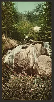 Naiads: Naiad's Bath