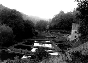 Hatcheries: Nailsworth, the Trout Hatcheries c1960