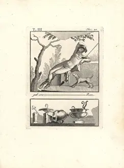 Endymion: Naked youth sleeping in the shade of a tree