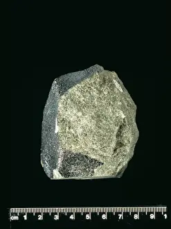 Bacteria: Nakhla meteorite