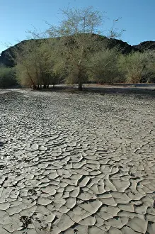 Textures: Namibia, Brandberg 2005: Dried river bed. cracked mud