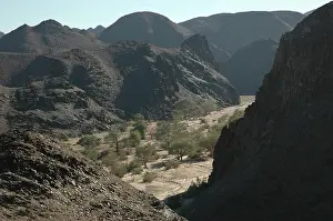 Damaraland: Namibia, Brandberg 2005: Dried river bed. drought