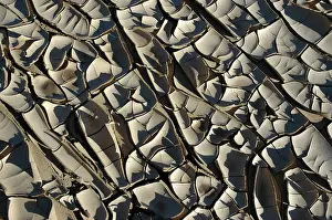 Textures: Namibia, Brandberg - Dried river bed
