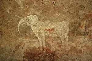 Erongo: Namibia, Erongo Mountains, 2005: San/Bushman paintings