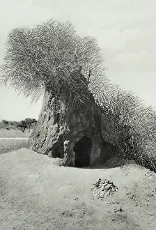 Namibian: Namibia - A Termite Mount