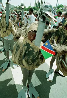Ostriches: Namibian Independence Celebrations
