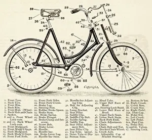 Naming: Naming of Cycle Parts