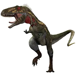 Frustration: Nanotyrannus dinosaur
