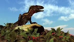 Boulder: Nanotyrannus dinosaur resting on a rock