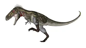 Nanotyrannus: Nanotyrannus dinosaur roaring
