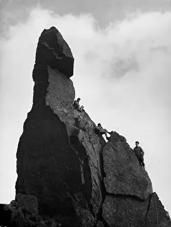 Larking: NAPES NEEDLE