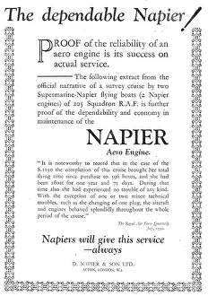 D.napier: Napier Aero Engine