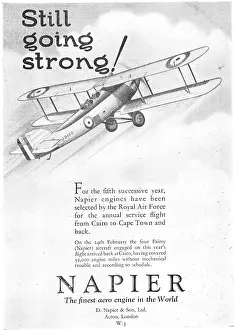 D.napier: Napier Aero Engines 1930