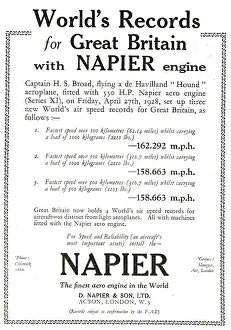 D.napier: Napier Hound